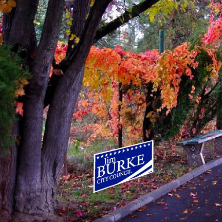A custom campaign yard sign on the side of a road